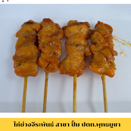 ไก่เนื้อทอง 4ไม้