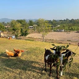 The Treat Farm - Rural Boutique Farm Stay  (The Treat Farm Hotel)