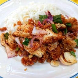 ข้าวยำไก่แซ่บคุณหญิง (ยำไก่แซ่บ,ทงคัตสึ,ข้าวไก่กรอบ,กะเพราไก่กรอบ)