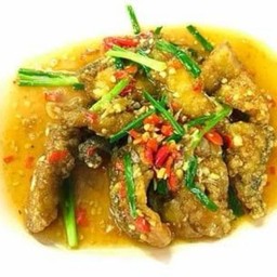 ปลาพิโรธ #(150)