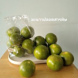 มะนาวปลอดสาร คละไซส์
