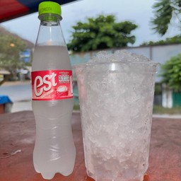 ลิ้นจี่เอสถัง