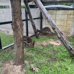 T-Haus Chiangrai