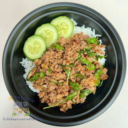 กะเพราเนื้อสับผัดพริกแห้ง