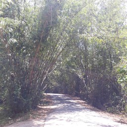 วนอุทยานน้ำตกกะเปาะ