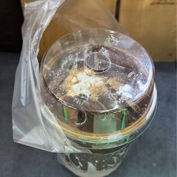 Coco Walk ตลาดคุณยิ้ม อุดมสุข