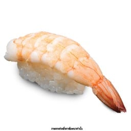 ซูชิกุ้ง