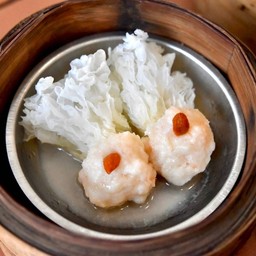 เห็ดหูหนูขาวแต้มหมู