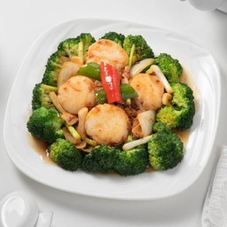 หอยเชลล์ญี่ปุ่นผัดซอส XO (L)