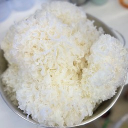 เห็ดหูหนูขาว (1ถุง40กรัม)