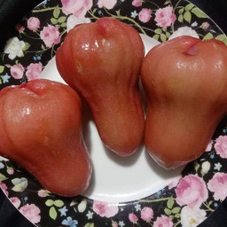 ชมพู่ทับทิมจันทร์