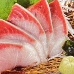 429.Buri sashimi