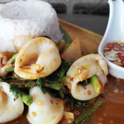 ข้าวราดผัดกระเพราปลาหมึก