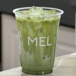MATCHA LATTE (มัทฉะ ลาเต้)
