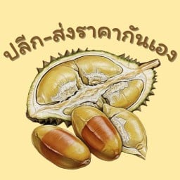 แม่ตำส้มตำ - เหมือนแม่ทำให้กิน สาขา 1 ราชภัฏประตู 2
