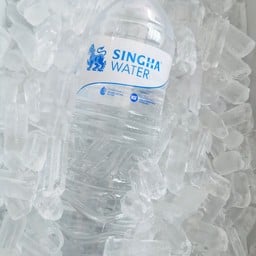 น้ำดิ่ม