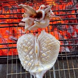 หมึกหอมสดย่าง 1 กิโล