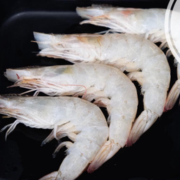 เพิ่มกุ้งขนาดกลาง3ตัว