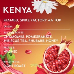 Kenya Kiambu, Spike Factory Aa Top, Sl28&Sl34, Washed