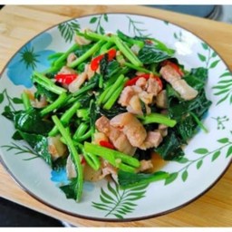คะน้าน้ำมันหอย