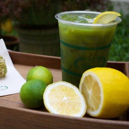 Iced Matcha Tea with Lemon