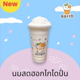 นมสดฮอกไกโดปั่น