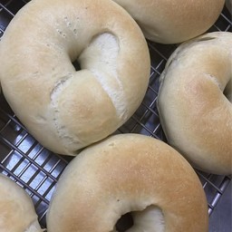 Bagel Original 1