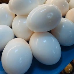 ไข่เป็ดต้ม