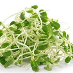 Sunflower Sprouts 150 g.