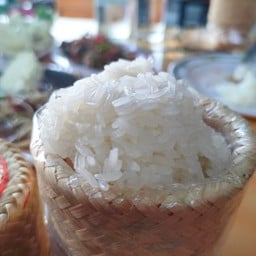 ข้าวเหนียว