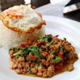 กระเพราลายพราง กังสดาล สาขาที่1