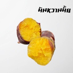 ‘ขายเอามันส์’ Japanese Sweet Potato 🍠