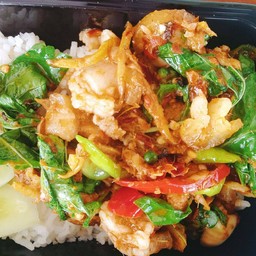 ผัดกระเพราหมูป่าราดข้าว+ไข่ดาว