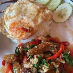 ข้าวราดกระเพราหมูกรอบ