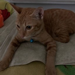 ซาทุ