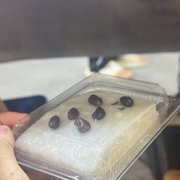 ข้าวเหนียวหน้านวล