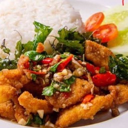 ข้าวกระเพราปลาดอลลี่ทอดกรอบ