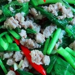 คะน้าหมูสับราดข้าว