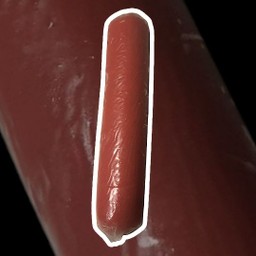 ฮอทดอกแดง