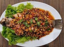 ปลากะพงลุยสวน