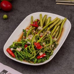 Stir-Fried Water Mimosa With Oyster Sauce