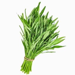 ผักบุ้งจีน