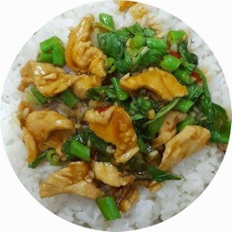 ข้าวราดกะเพรา