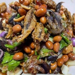 ยำมะม่วงนายพล