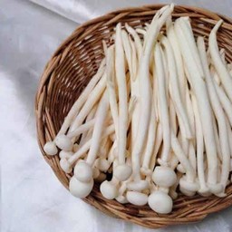 เห็ดชิเมจิ