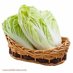 ผักกาดขาว