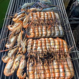 กุ้งย่าง 12-13ตัวโล