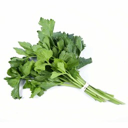 ขึ้นฉ่าย