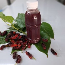 มะม่วงเบาแช่อิ่มคุณณี