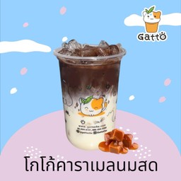 โกโก้คาราเมลนมสด